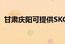 甘肅慶陽可提供SKG空調(diào)維修服務(wù)地址在哪