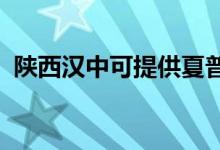 陜西漢中可提供夏普空調(diào)維修服務(wù)地址在哪
