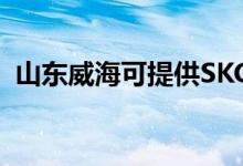 山東威海可提供SKG空調(diào)維修服務(wù)地址在哪