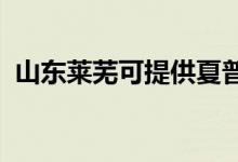 山東萊蕪可提供夏普空調(diào)維修服務(wù)地址在哪