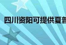四川資陽(yáng)可提供夏普空調(diào)維修服務(wù)地址在哪
