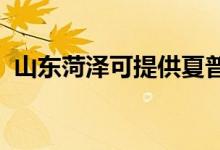 山東菏澤可提供夏普空調(diào)維修服務(wù)地址在哪