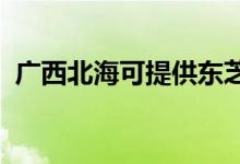廣西北?？商峁〇|芝空調(diào)維修服務(wù)地址在哪