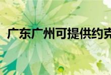 廣東廣州可提供約克空調(diào)維修服務(wù)地址在哪