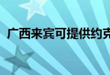 廣西來賓可提供約克空調(diào)維修服務(wù)地址在哪