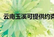 云南玉溪可提供約克空調(diào)維修服務(wù)地址在哪