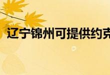 遼寧錦州可提供約克空調(diào)維修服務地址在哪
