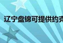 遼寧盤錦可提供約克空調(diào)維修服務地址在哪