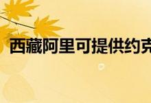 西藏阿里可提供約克空調(diào)維修服務(wù)地址在哪