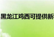 黑龍江雞西可提供新科空調(diào)維修服務地址在哪