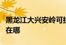 黑龍江大興安嶺可提供芬尼空調維修服務地址在哪