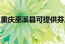 重慶巫溪縣可提供芬尼空調維修服務地址在哪