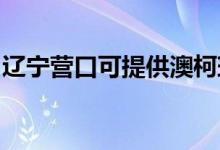 遼寧營(yíng)口可提供澳柯瑪冰箱維修服務(wù)地址在哪