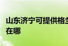 山東濟(jì)寧可提供格蘭仕中央空調(diào)維修服務(wù)地址在哪