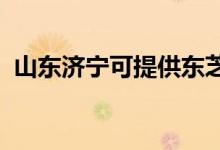 山東濟寧可提供東芝冰箱維修服務地址在哪