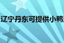 遼寧丹東可提供小鴨洗衣機維修服務(wù)地址在哪