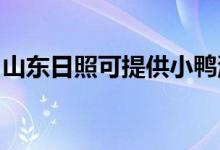 山東日照可提供小鴨洗衣機維修服務(wù)地址在哪