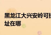 黑龍江大興安嶺可提供海爾洗衣機維修服務地址在哪