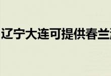 遼寧大連可提供春蘭洗衣機維修服務(wù)地址在哪