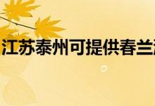江蘇泰州可提供春蘭洗衣機維修服務(wù)地址在哪