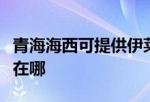青海海西可提供伊萊克斯洗衣機維修服務地址在哪