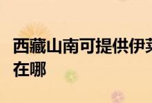 西藏山南可提供伊萊克斯洗衣機維修服務地址在哪