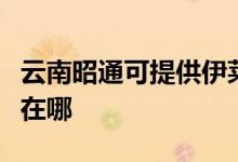 云南昭通可提供伊萊克斯洗衣機維修服務地址在哪