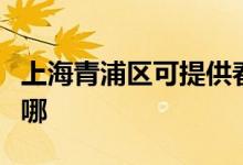 上海青浦區(qū)可提供春蘭洗衣機維修服務(wù)地址在哪