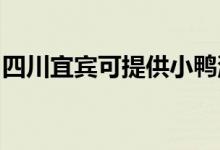 四川宜賓可提供小鴨洗衣機維修服務(wù)地址在哪