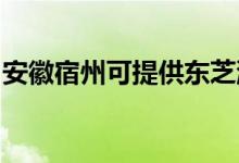 安徽宿州可提供東芝洗衣機維修服務(wù)地址在哪
