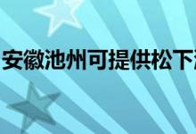 安徽池州可提供松下洗衣機(jī)維修服務(wù)地址在哪