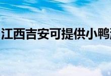 江西吉安可提供小鴨洗衣機維修服務地址在哪