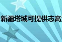 新疆塔城可提供志高洗衣機維修服務地址在哪
