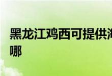 黑龍江雞西可提供海信洗衣機維修服務(wù)地址在哪