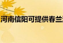 河南信陽可提供春蘭洗衣機維修服務(wù)地址在哪