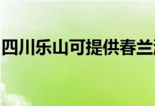 四川樂山可提供春蘭洗衣機維修服務(wù)地址在哪