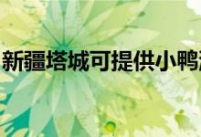 新疆塔城可提供小鴨洗衣機維修服務(wù)地址在哪