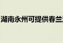 湖南永州可提供春蘭洗衣機維修服務(wù)地址在哪