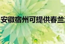 安徽宿州可提供春蘭洗衣機維修服務(wù)地址在哪