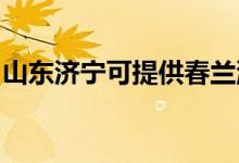 山東濟寧可提供春蘭洗衣機維修服務(wù)地址在哪