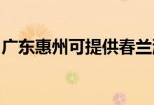 廣東惠州可提供春蘭洗衣機維修服務(wù)地址在哪