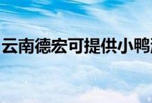 云南德宏可提供小鴨洗衣機維修服務(wù)地址在哪