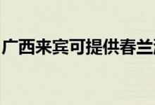 廣西來賓可提供春蘭洗衣機維修服務(wù)地址在哪