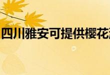 四川雅安可提供櫻花洗衣機維修服務(wù)地址在哪