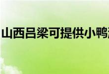 山西呂梁可提供小鴨洗衣機維修服務(wù)地址在哪