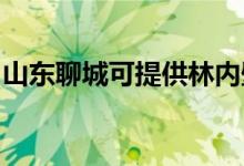 山東聊城可提供林內(nèi)壁掛爐維修服務地址在哪