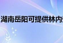 湖南岳陽可提供林內(nèi)壁掛爐維修服務地址在哪