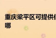 重慶梁平區(qū)可提供伯爵壁掛爐維修服務地址在哪