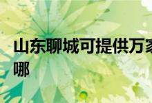 山東聊城可提供萬家樂壁掛爐維修服務地址在哪