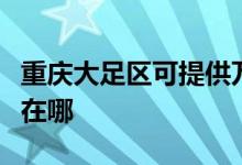 重慶大足區(qū)可提供萬家樂壁掛爐維修服務地址在哪